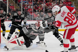 Red Wings Devils Hockey