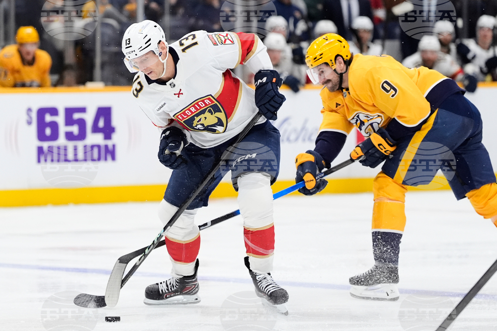 Panthers Predators Hockey