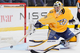 Panthers Predators Hockey