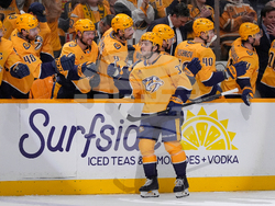 Panthers Predators Hockey