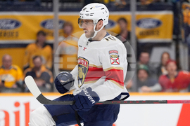 Panthers Predators Hockey