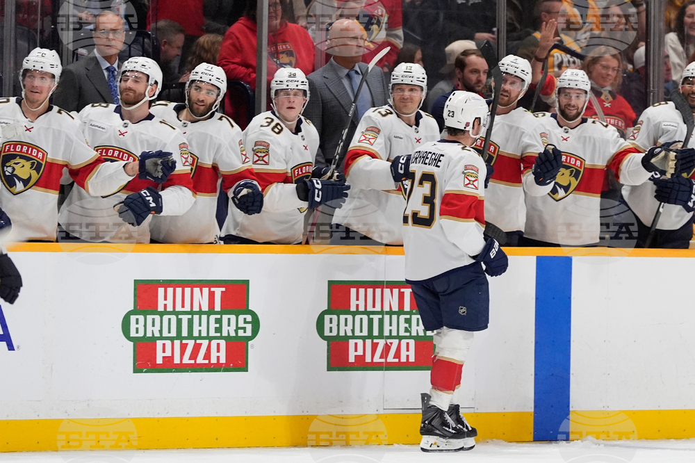 Panthers Predators Hockey