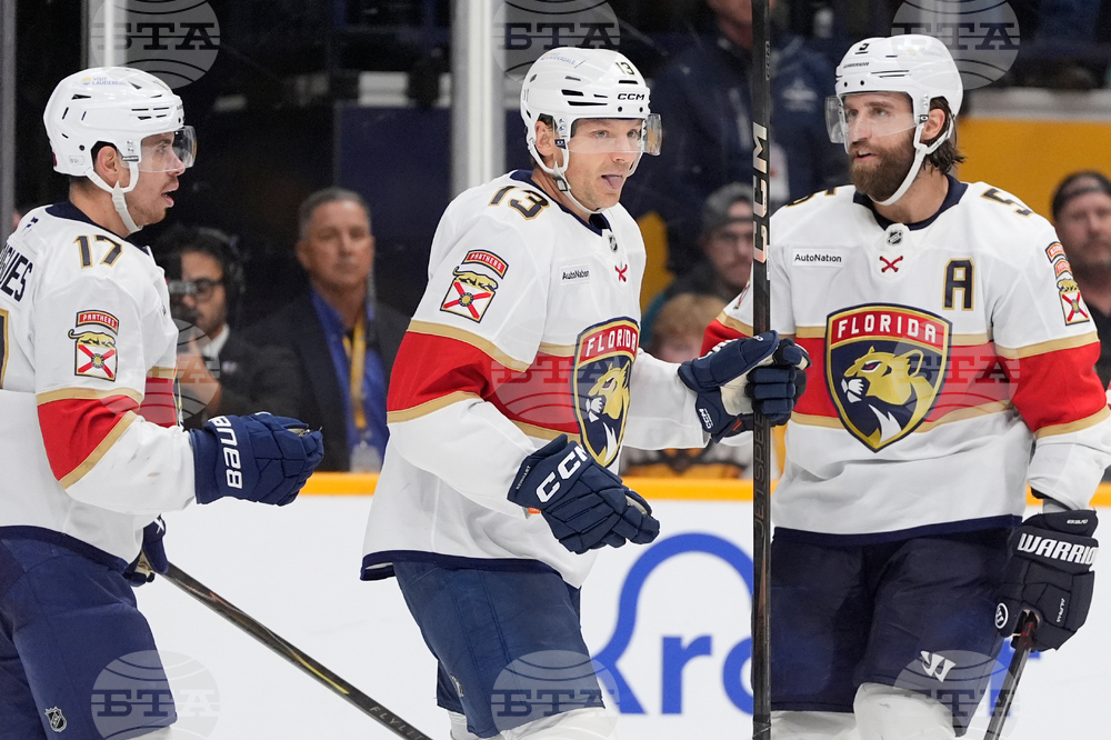 Panthers Predators Hockey