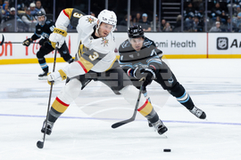 Knights Mammoth Hockey