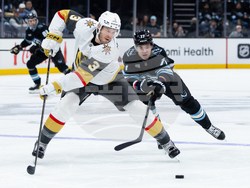 Knights Mammoth Hockey