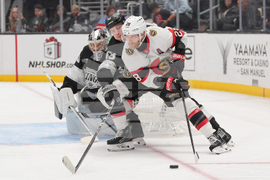 Senators Kings Hockey