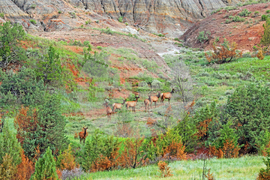 National Park-Scenic Road Reopens