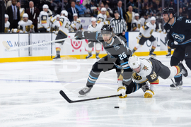 Knights Mammoth Hockey