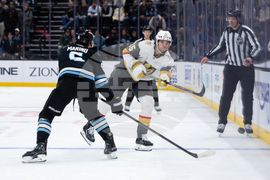 Knights Mammoth Hockey