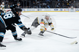 Knights Mammoth Hockey