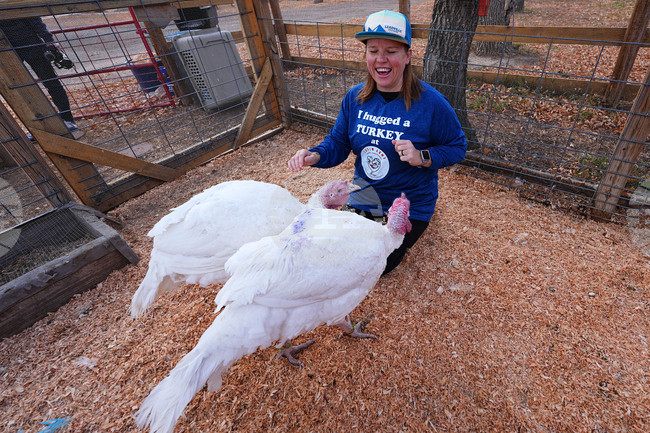 Turkey Adoptions