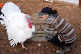 Turkey Adoptions