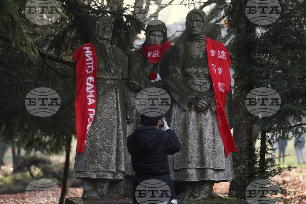Международен ден за елиминиране на насилието над жени - статуя