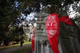 Международен ден за елиминиране на насилието над жени - статуя