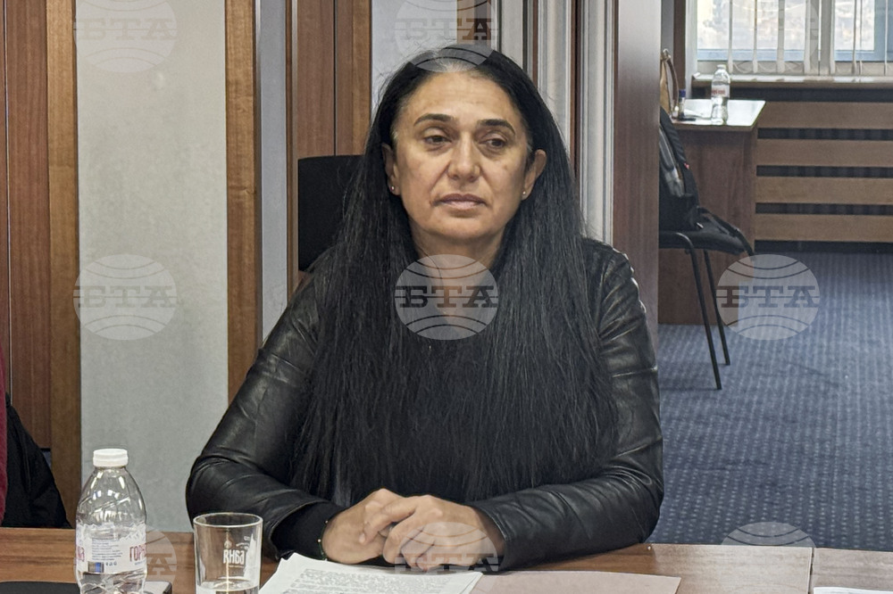 Общо 1203 случая на домашно насилие са отчетени за първите девет месеца на 2025 г. от Агенция „Социално подпомагане“, каза зам.-министър Румяна Петкова