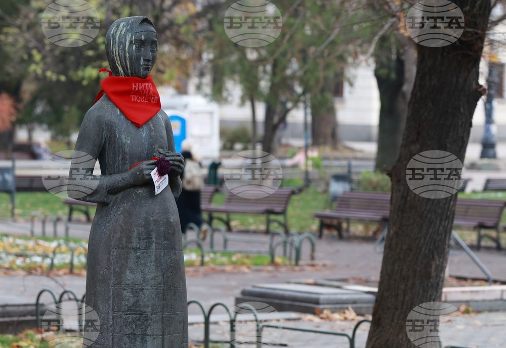 Международен ден за елиминиране на насилието над жени - статуя