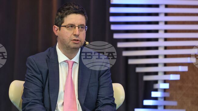 Позитивите от еврозоната няма да дойдат автоматично като подарък, каза подуправителят на БНБ Петър Чобанов