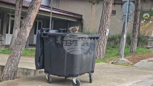 Община Павел баня започва кампания по раздаване на съдове за битови отпадъци за домакинствата