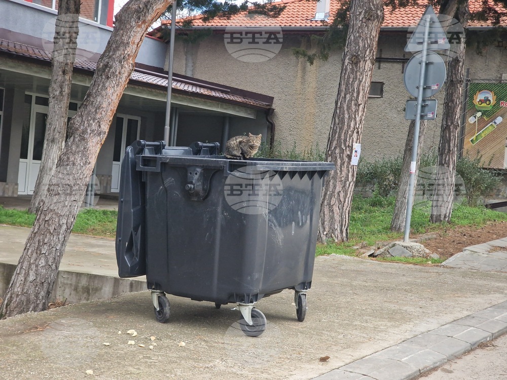 Община Павел баня започва кампания по раздаване на съдове за битови отпадъци за домакинствата