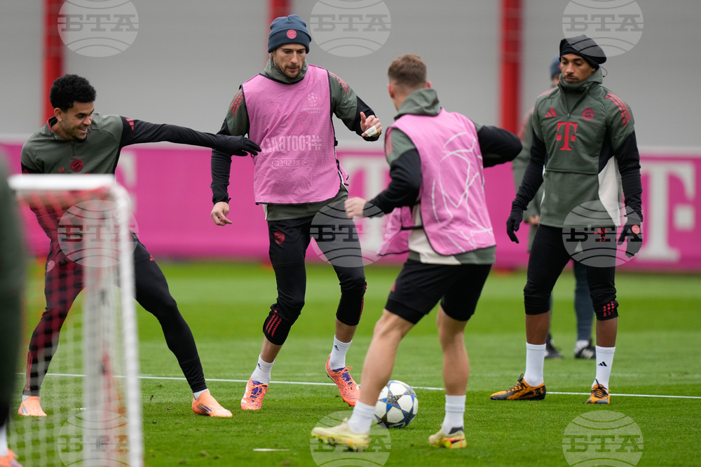 Germany Champions League Soccer