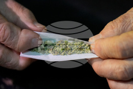 Cannabis Use Disorder Users