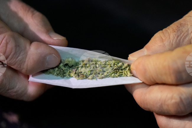 Cannabis Use Disorder Users