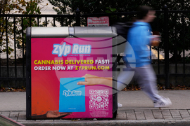 Cannabis Use Disorder Users