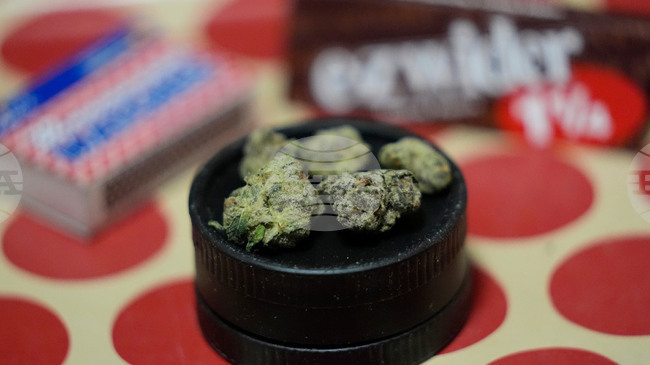 Над 20 кг скънк са били заловени от турските власти в камион на българо-турската граница при ГКПП Хамзабейли-Лесово