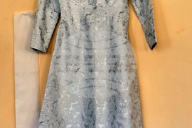 Село Неговановци - читалище - стари семейни истории