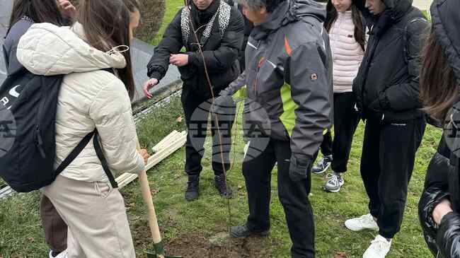 Ученици от Природоматематическата гимназия „Христо Смирненски“ в Перник засадиха дръвчета в центъра на града