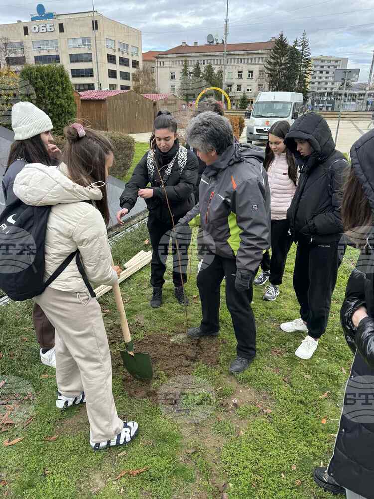 Ученици от Природоматематическата гимназия „Христо Смирненски“ в Перник засадиха дръвчета в центъра на града