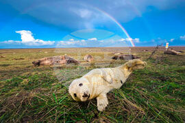 APTOPIX Britain Daily Life