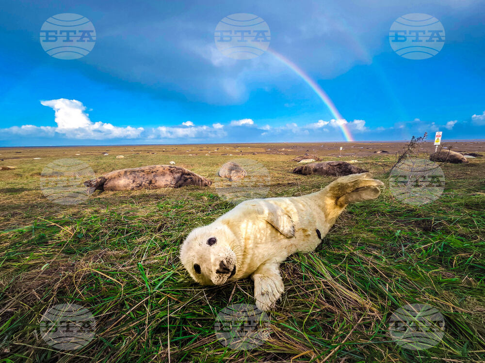 APTOPIX Britain Daily Life