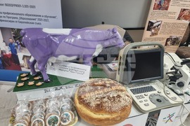 Стара Загора - Парад на професиите