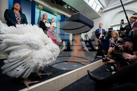 Trump White House Holidays