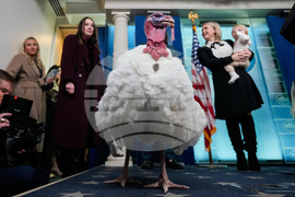 Trump White House Holidays