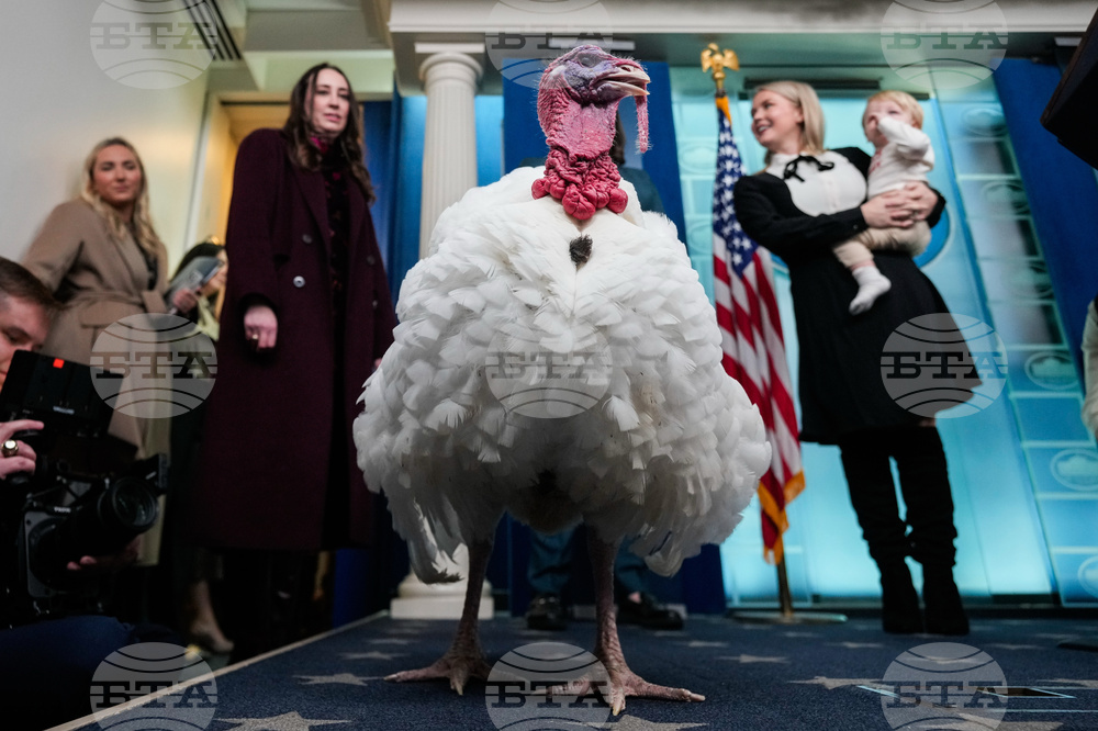 Trump White House Holidays