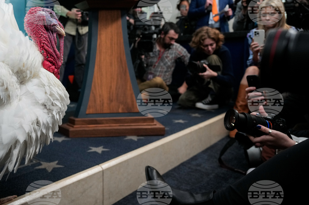 Trump White House Holidays