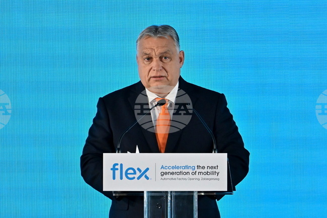 Hungary Automotive Industry