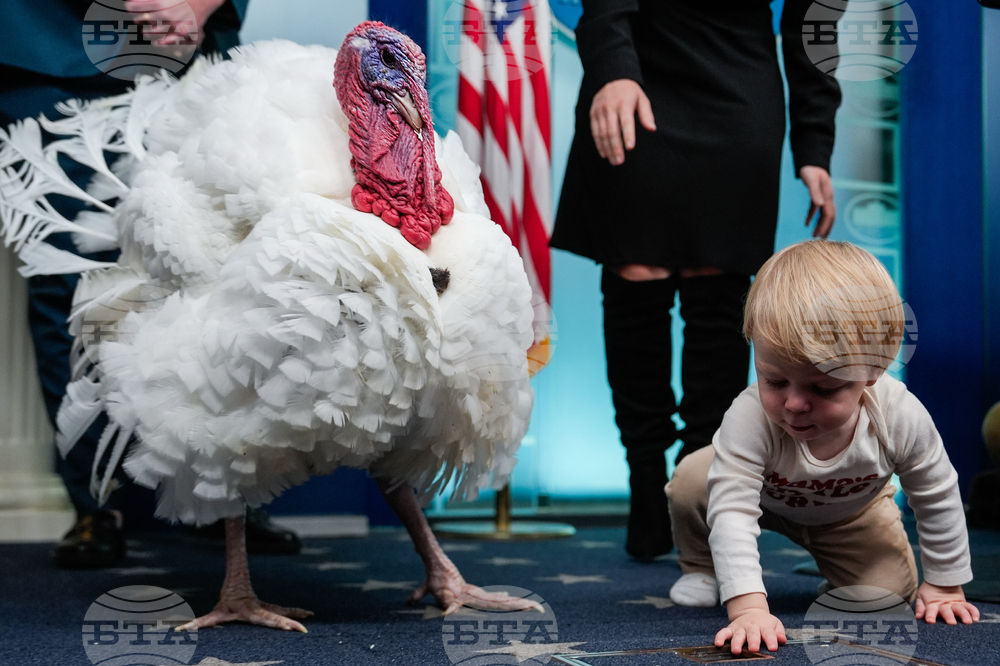 Trump White House Holidays