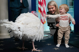 Trump White House Holidays