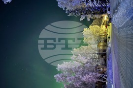 Alaska Northern Lights