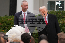 Trump Turkey Pardon
