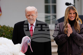 Trump White House Holidays