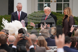 Trump Turkey Pardon