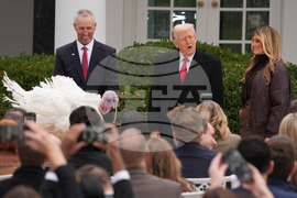 Trump Turkey Pardon