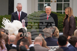Trump Turkey Pardon