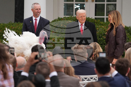 Trump Turkey Pardon