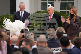 Trump Turkey Pardon