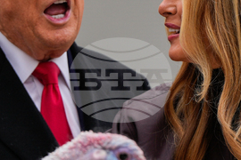 Trump White House Holidays